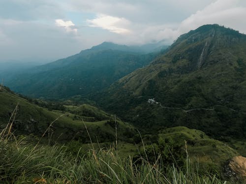 Hills in a Valley Covered with Fog 