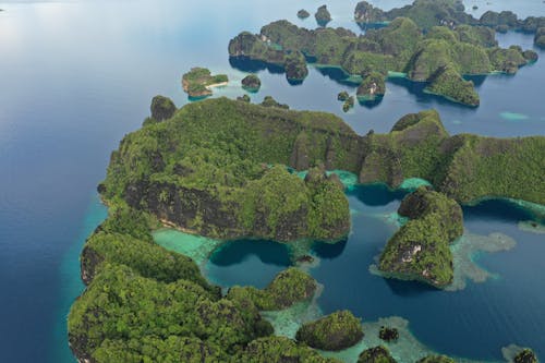 Free Majestic coral formations in Raja Ampat's blue ocean, seen from a drone. Serene beauty of the open sea. Nature's masterpiece. Stock Photo