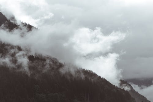 Darmowe zdjęcie z galerii z chmury, czarno-biały, drzewa