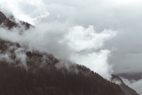 Free A dramatic view of fog enveloping a lush forest on mountain slopes, creating a mystical atmosphere. Stock Photo