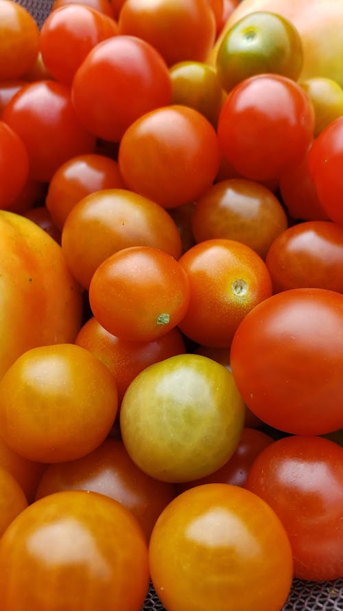 Cherry Tomato Pile