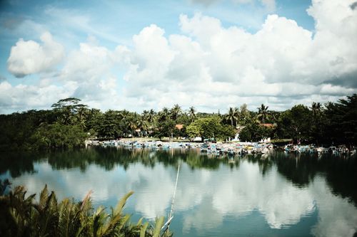 Free Serene tropical harbor scene with boats, palm trees, and reflections on a sunny day. Stock Photo