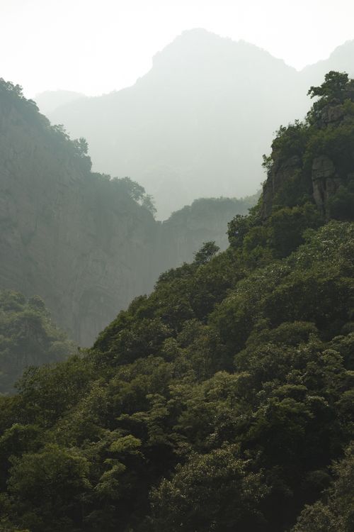Free Serene forest-covered mountains and valleys with misty ambiance, ideal for nature enthusiasts. Stock Photo