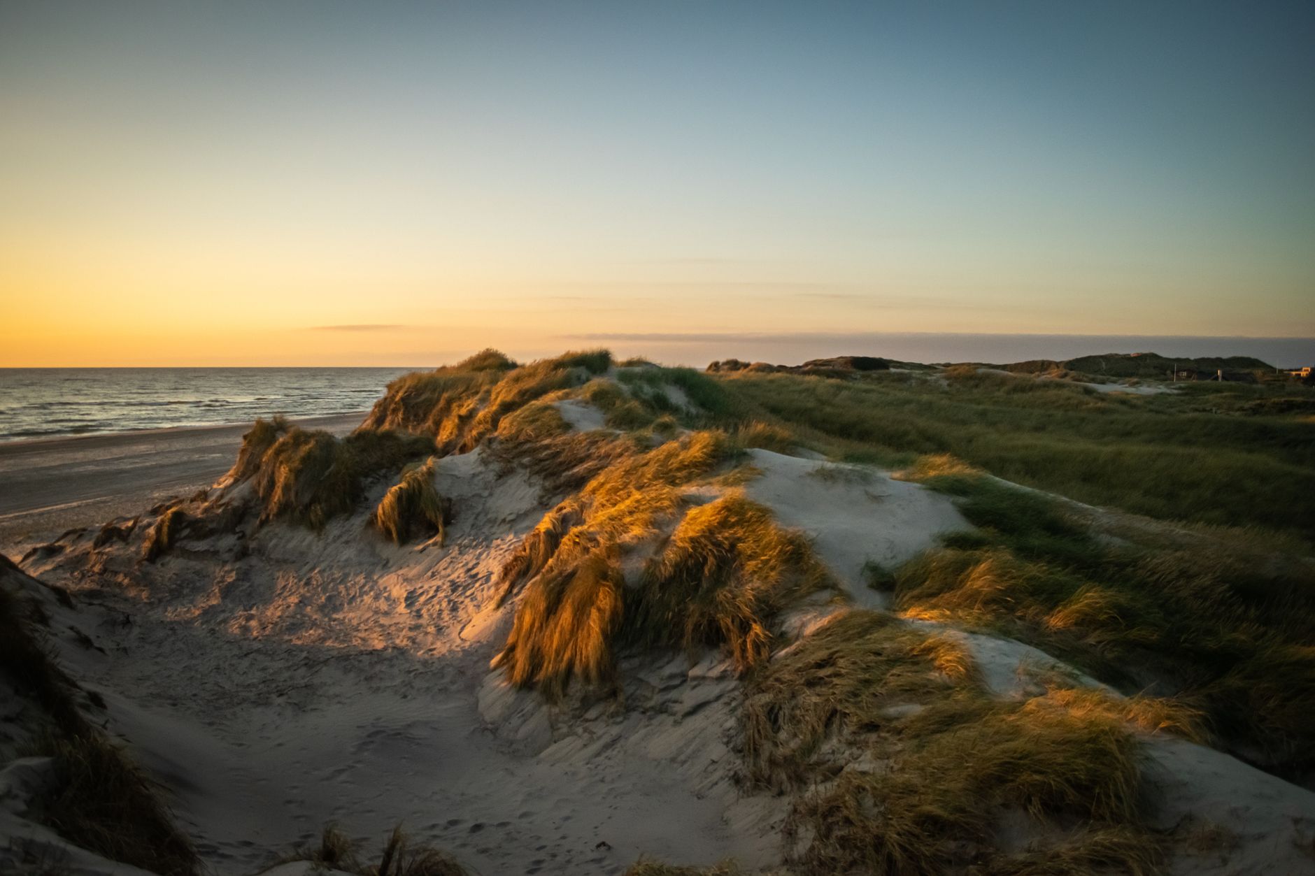 Ameland Hidden West Dunes