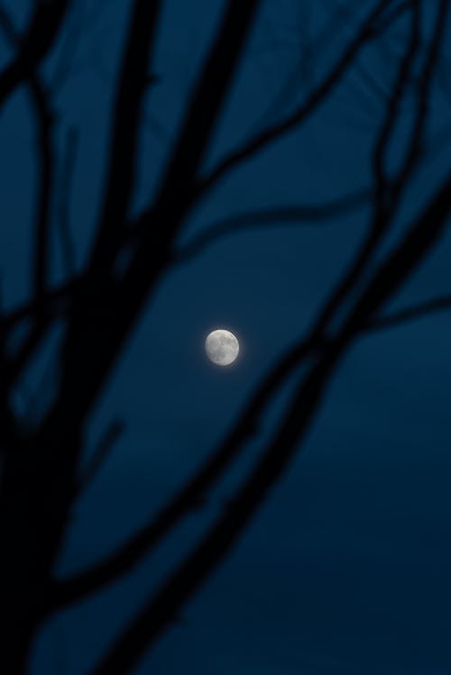 Immagine gratuita di cielo, luna, natura