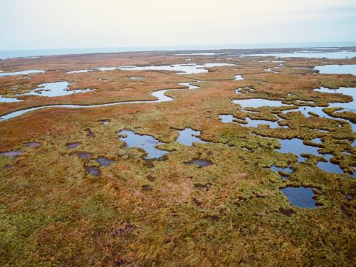 Free Explore the expansive marshlands and waterways of LA's coastal wetlands from above. Stock Photo