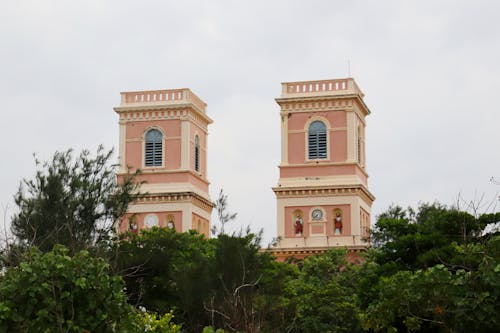 Fotos de stock gratuitas de arboles, iglesia de notre dame de los ángeles, iglesia francesa