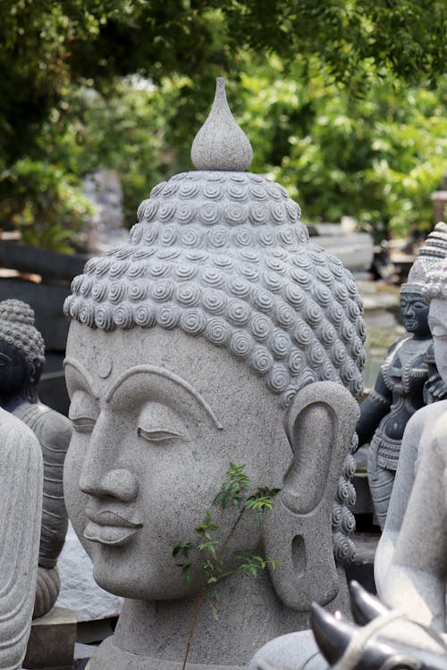 Immagine gratuita di buddista, religione, sculture