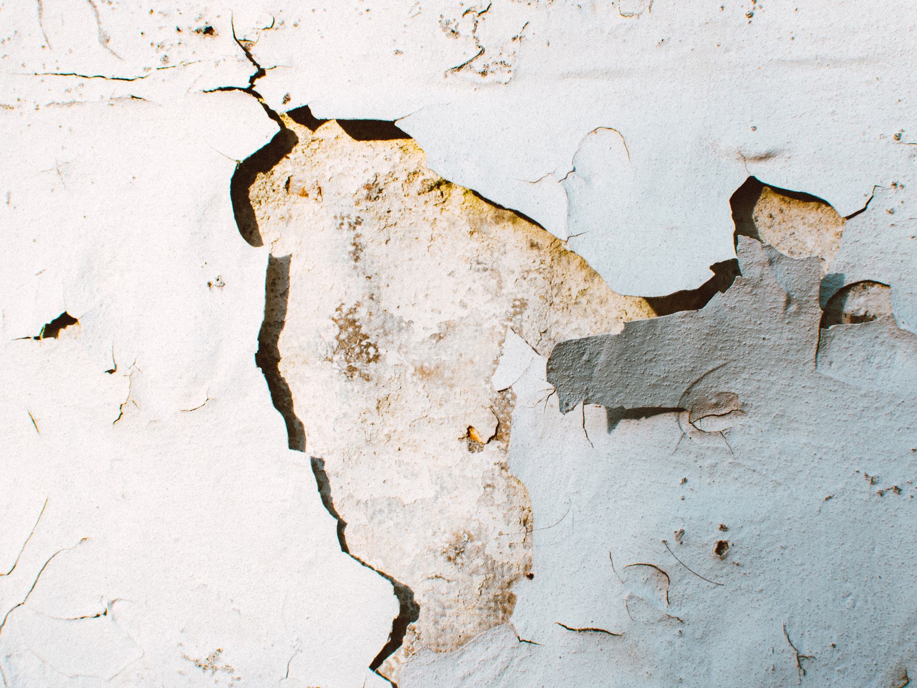 Exterior Painting in Euston — surfaces prepped and cut in by hand