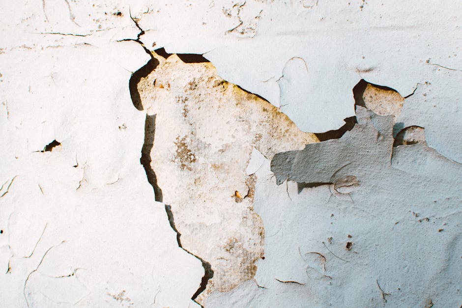 Thermal Imaging Leak Detection service in Freeport, New York — appliance leak detection and cleanup