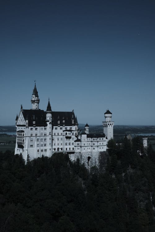 Fotos de stock gratuitas de Alemania, bosque, castillo