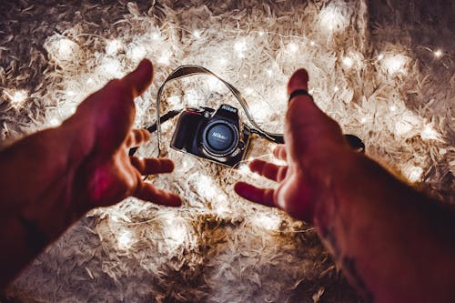 Fotobanka s bezplatnými fotkami na tému camers, človek, držanie