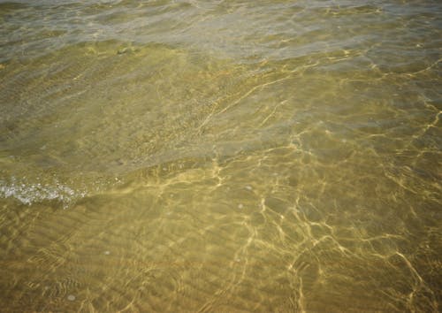 View of Clear Water on the Shore 