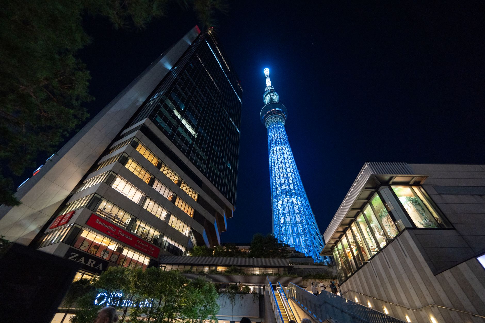 東京で人気の庭園の特徴