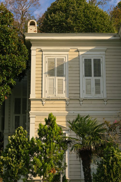 Trees around House with Shutters on Windows