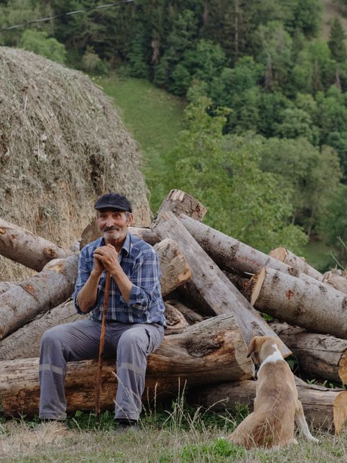 Free Elderly man with a dog sitting by wood logs in a lush natural setting. Stock Photo