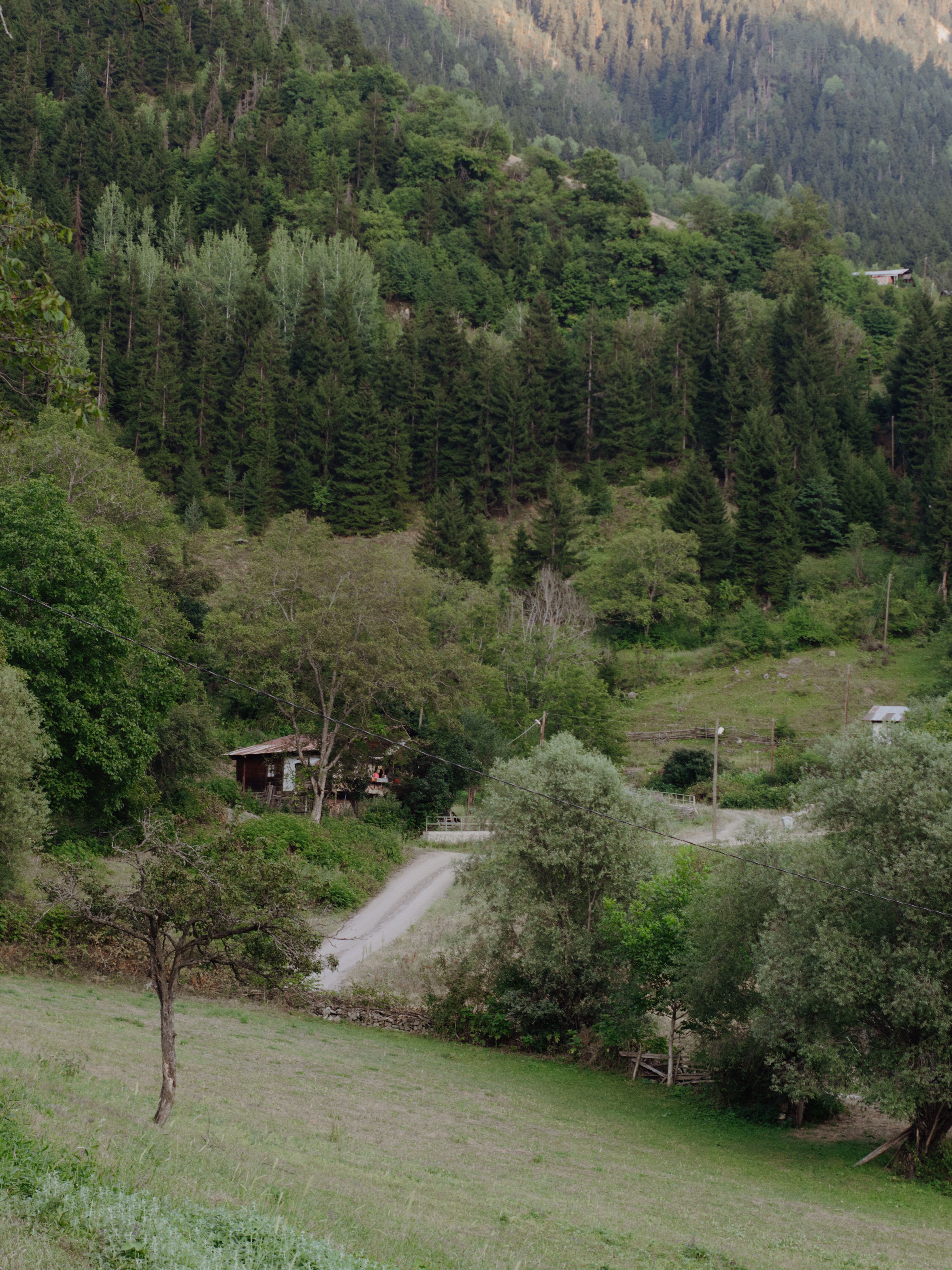 A view of a small house in the middle of a forest · Free Stock Photo