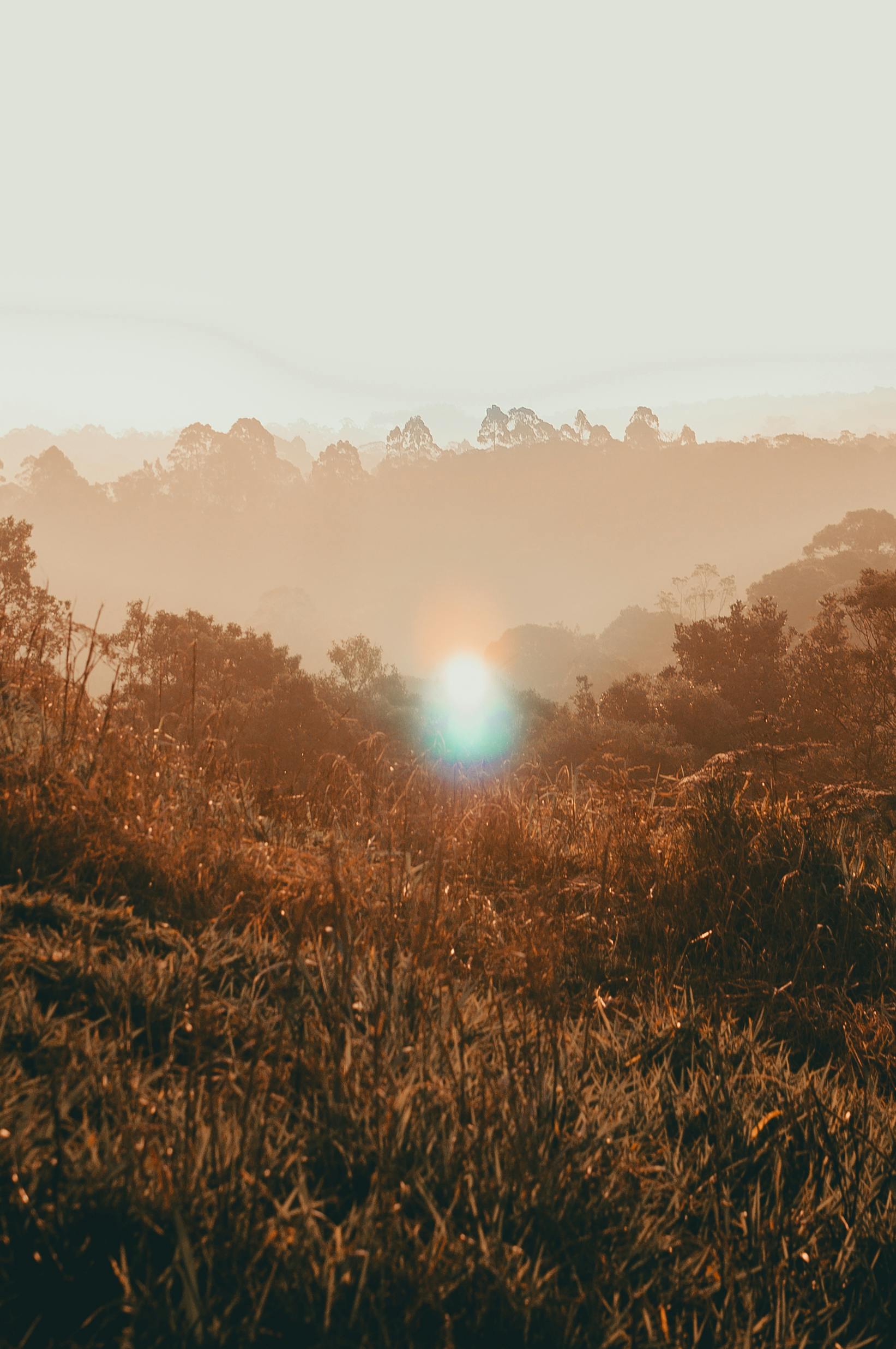 薄雾缭绕的风景中，太阳从山上升起，营造出一种宁静的氛围