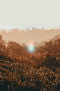 薄雾缭绕的风景中，太阳从山上升起，营造出一种宁静的氛围