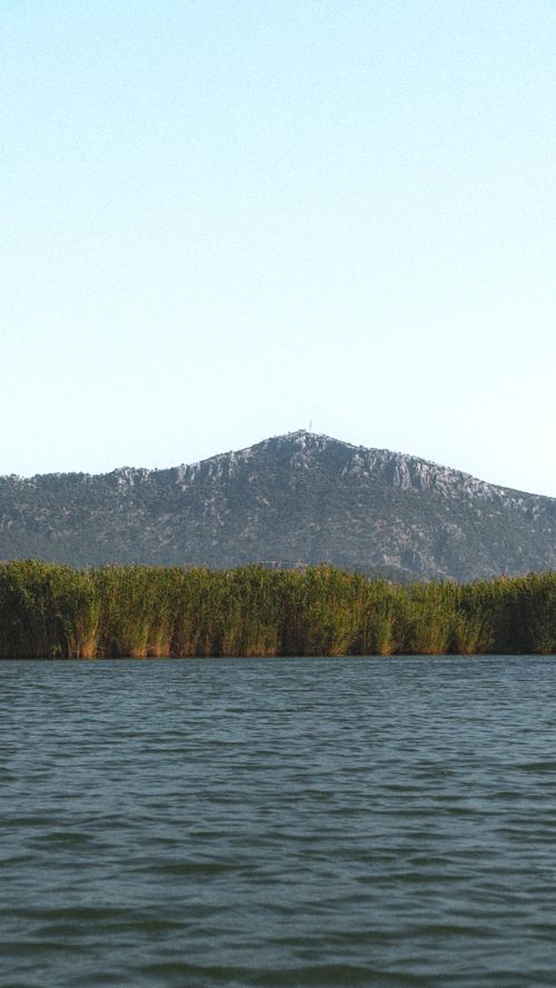 Free Serene lake with lush greenery and a distant mountain under clear skies. Stock Photo