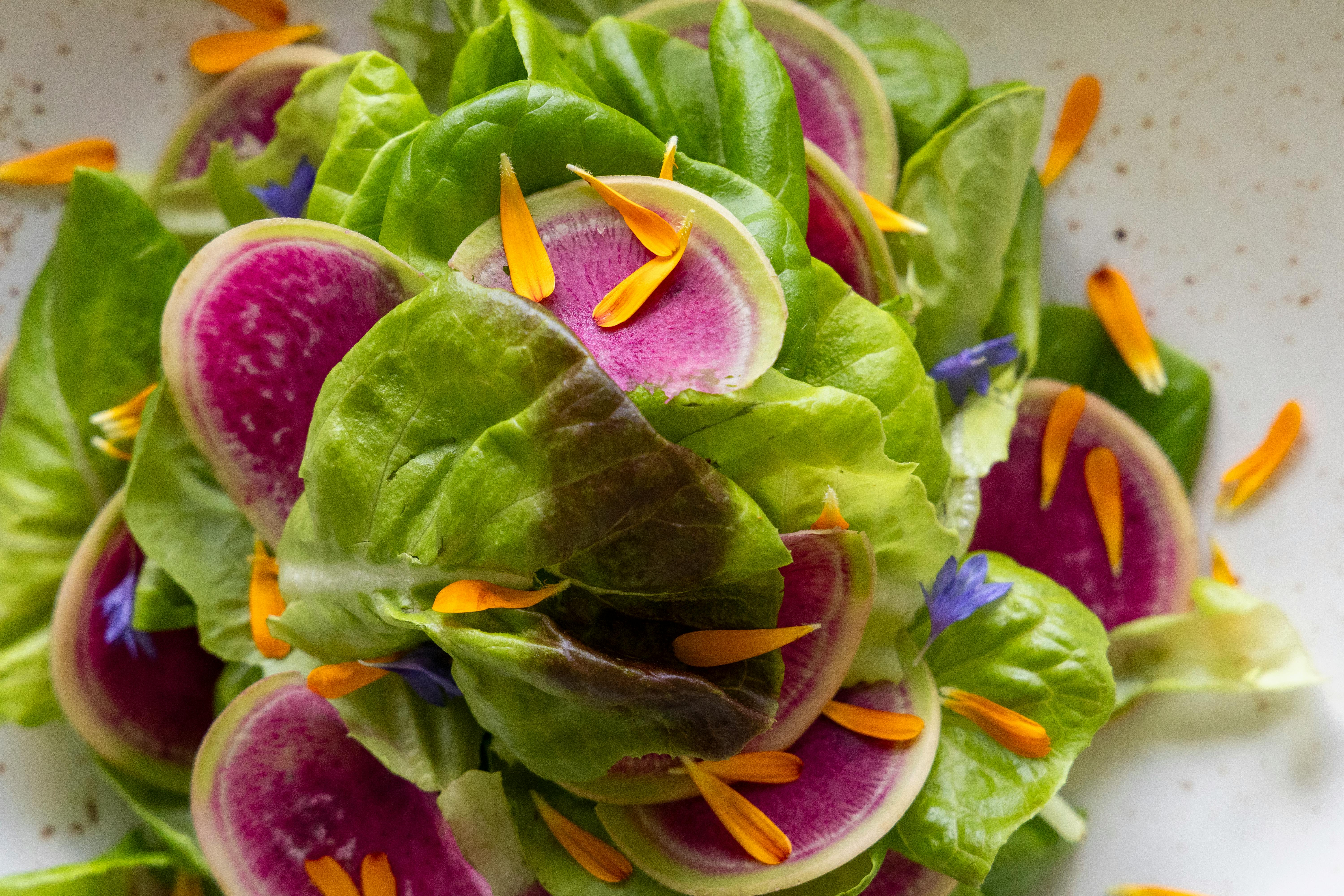 Close-up of a Colorful Salad with Flower Petals