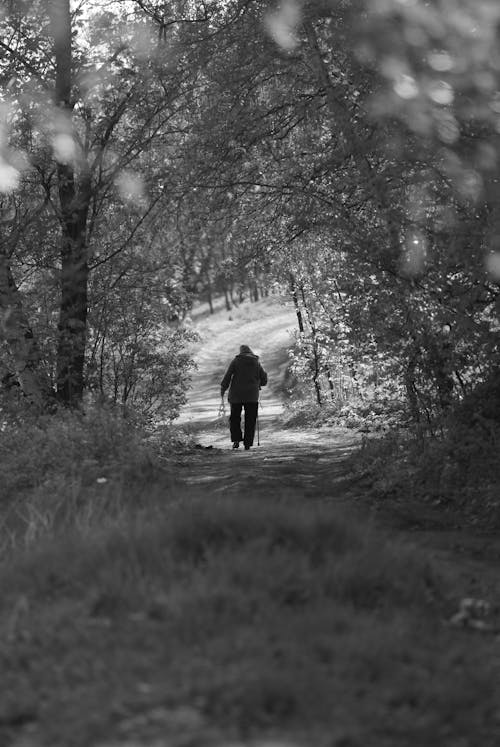 Free Lone Man Walking in Park Stock Photo