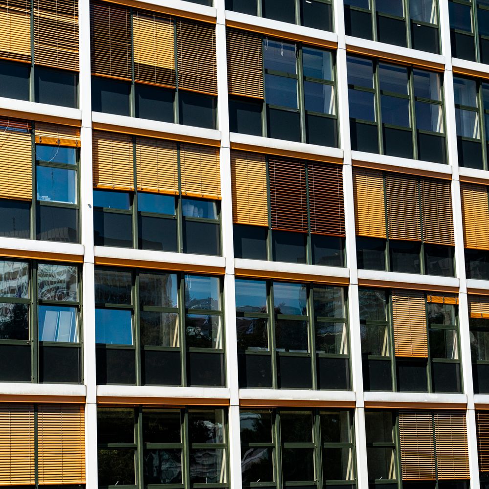 Dalrymple — student move with boxes and a van