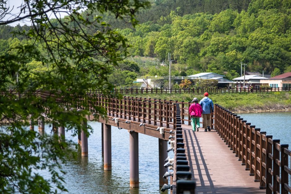 Vivre à Daegu : guide complet de l'expatrié en 2026