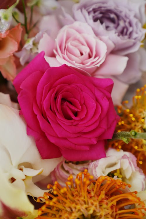 Kaleidoscope Picture of Red Roses · Free Stock Photo