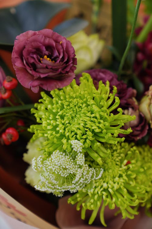 Green Plants and Purple Rose