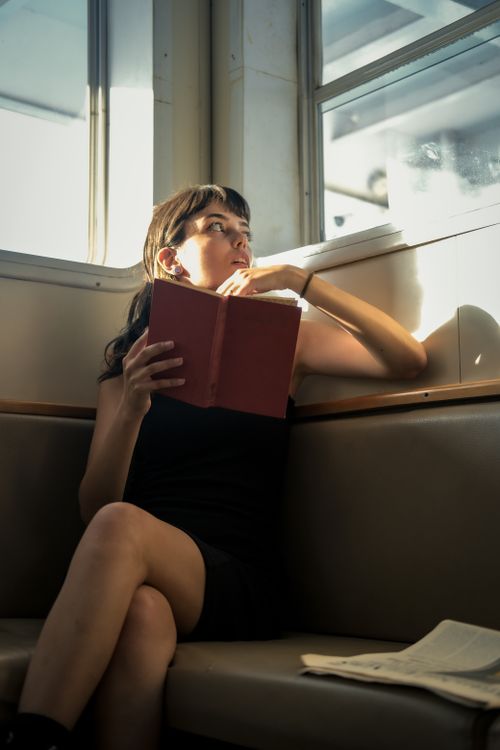 Free A young woman sits by a window reading a book, bathed in sunlight, on a casual day indoors. Stock Photo