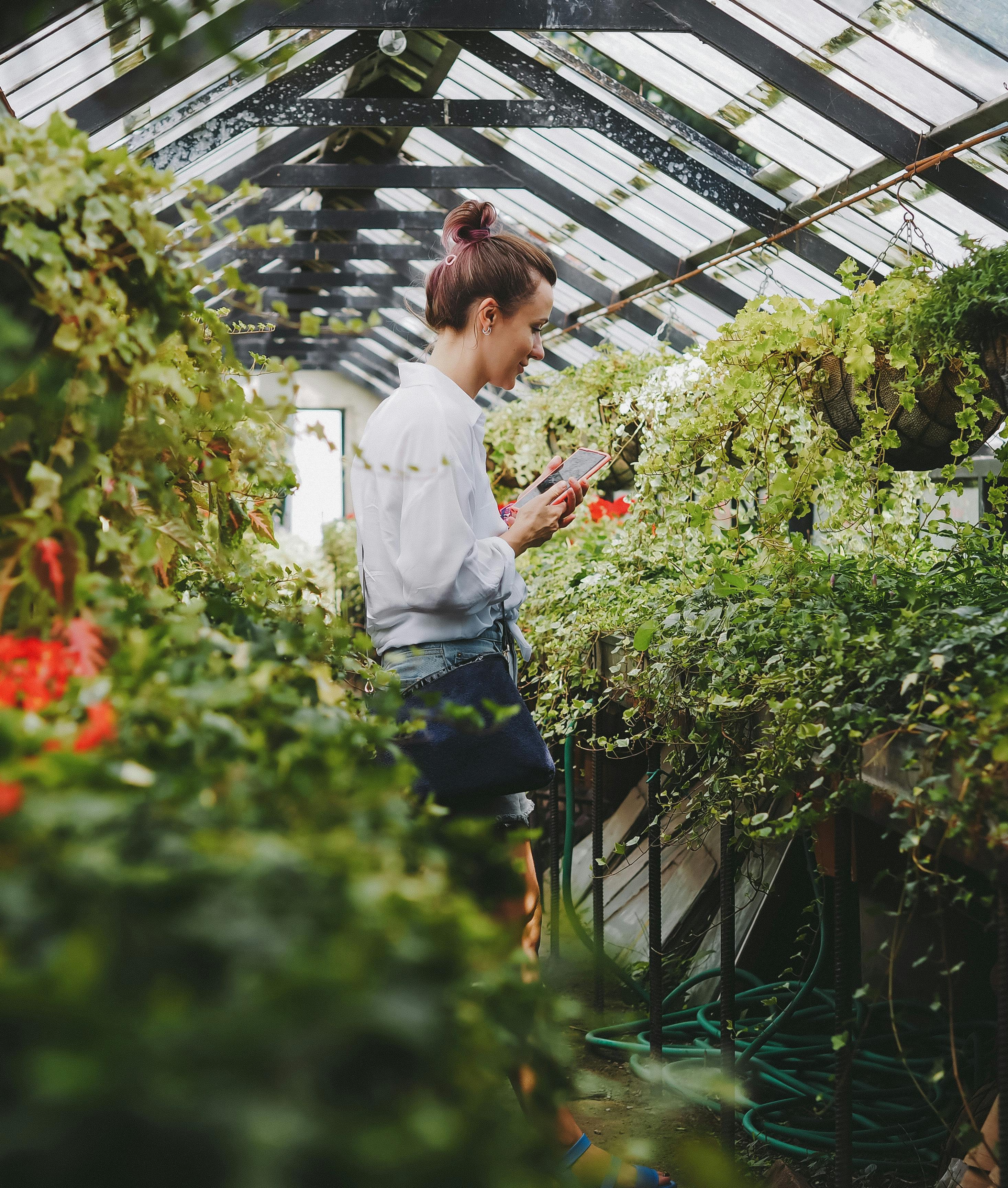 A woman using her smartphone to photograph lush plants inside a greenhouse.