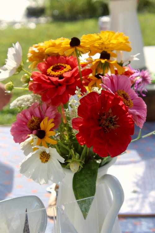 Foto d'estoc gratuïta de estiu, flor, flors