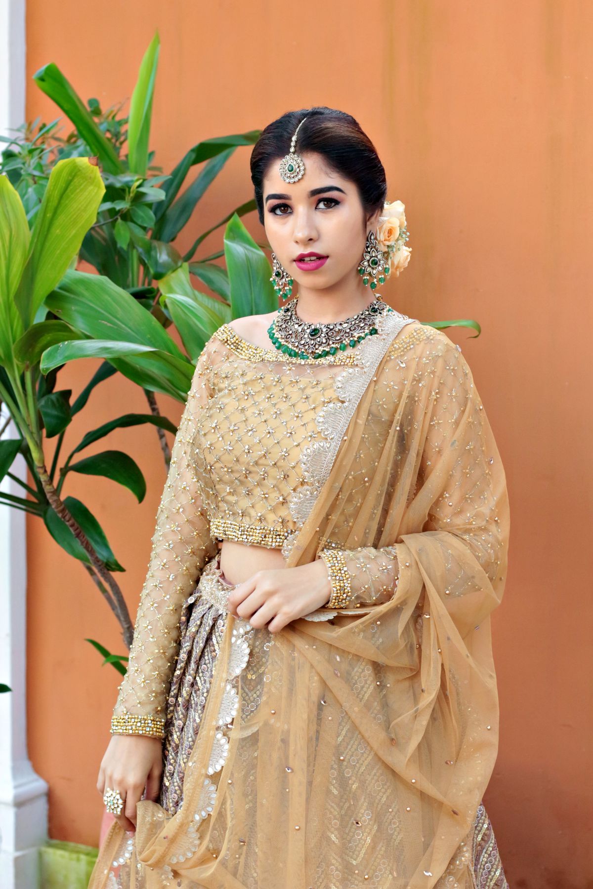 Zari Rani Lehenga