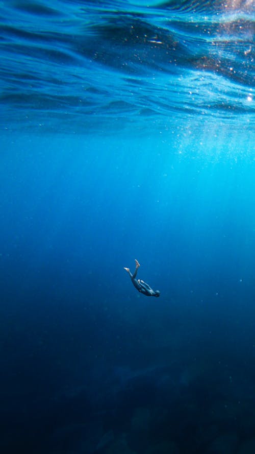 Fotos de stock gratuitas de bajo el agua, buceo libre, buzo