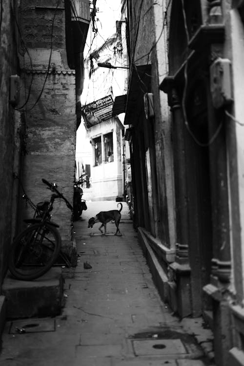 Narrow Alley in Black and White
