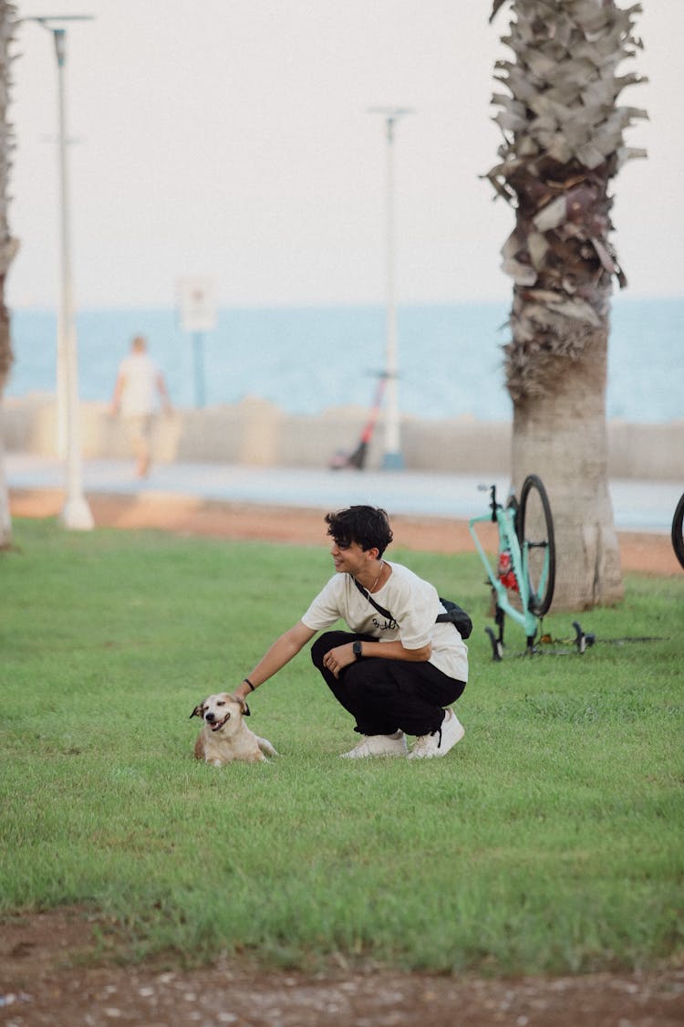 Man Petting Dog On Lawn By Promenade At Sea