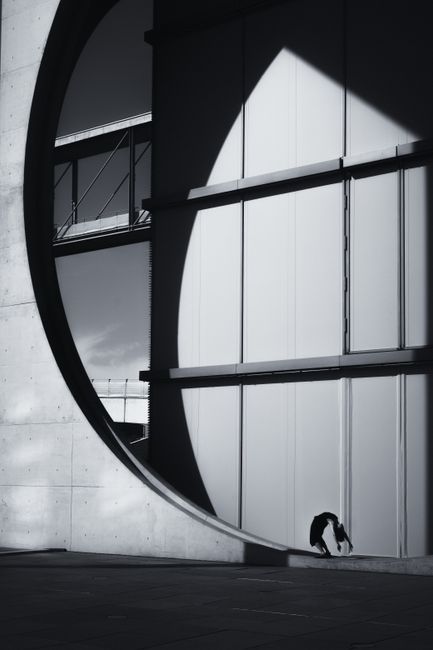 Black and white photo of modern architecture featuring a large circular window and silhouette.