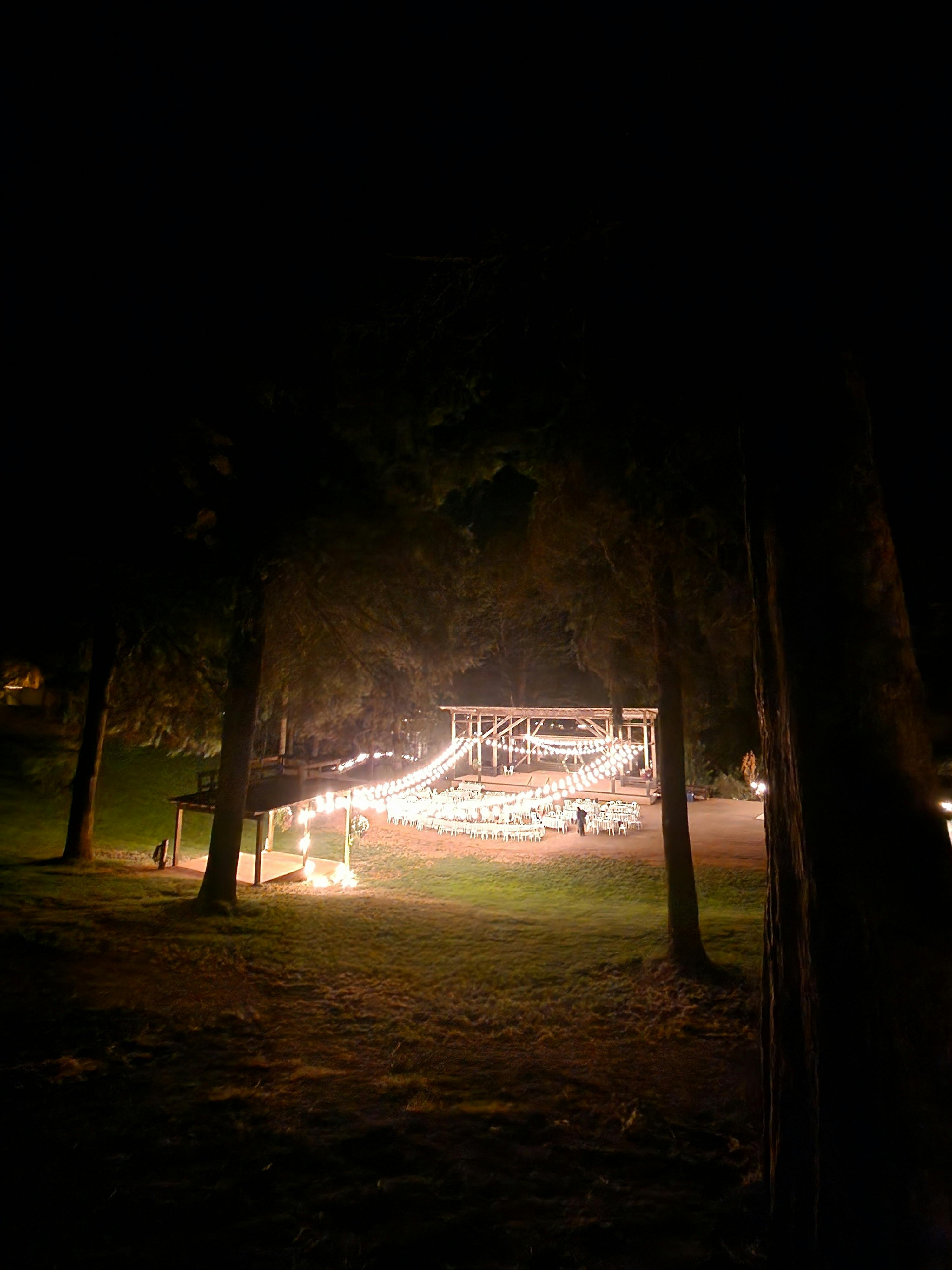 Ücretsiz @dış mekan, ağaçlar, ahşap içeren Ücretsiz stok fotoğraf Stok Fotoğraflar