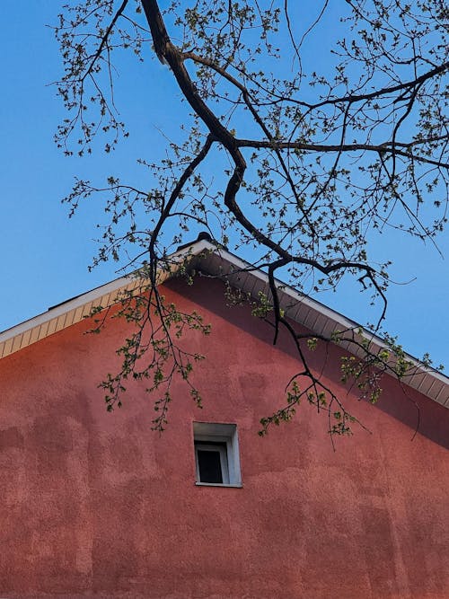 Darmowe zdjęcie z galerii z błękitne niebo, budynek, czerwona ściana