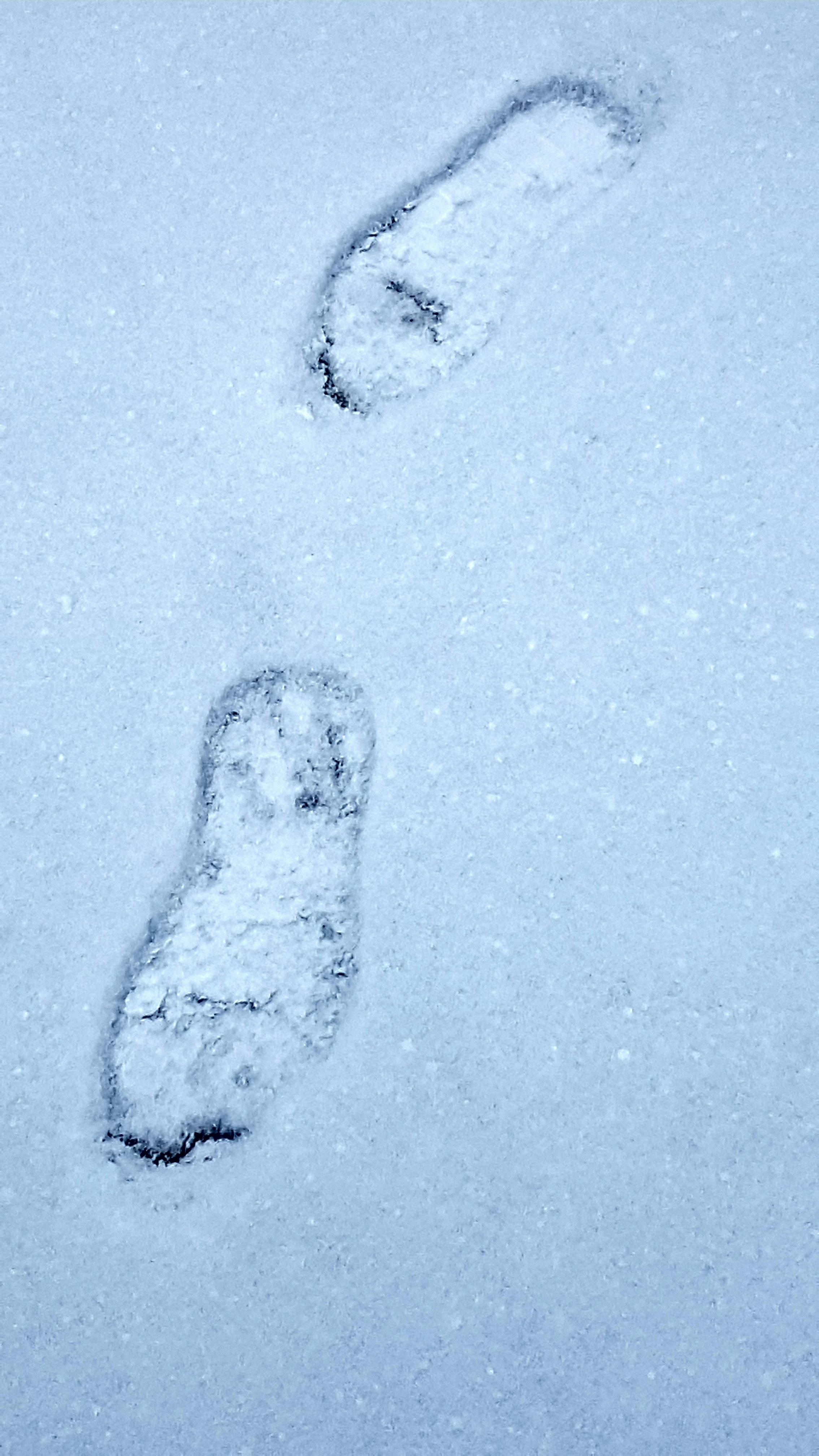 Free stock photo of #snow #winter #footsteps