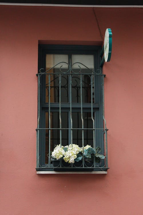 Bars in Window