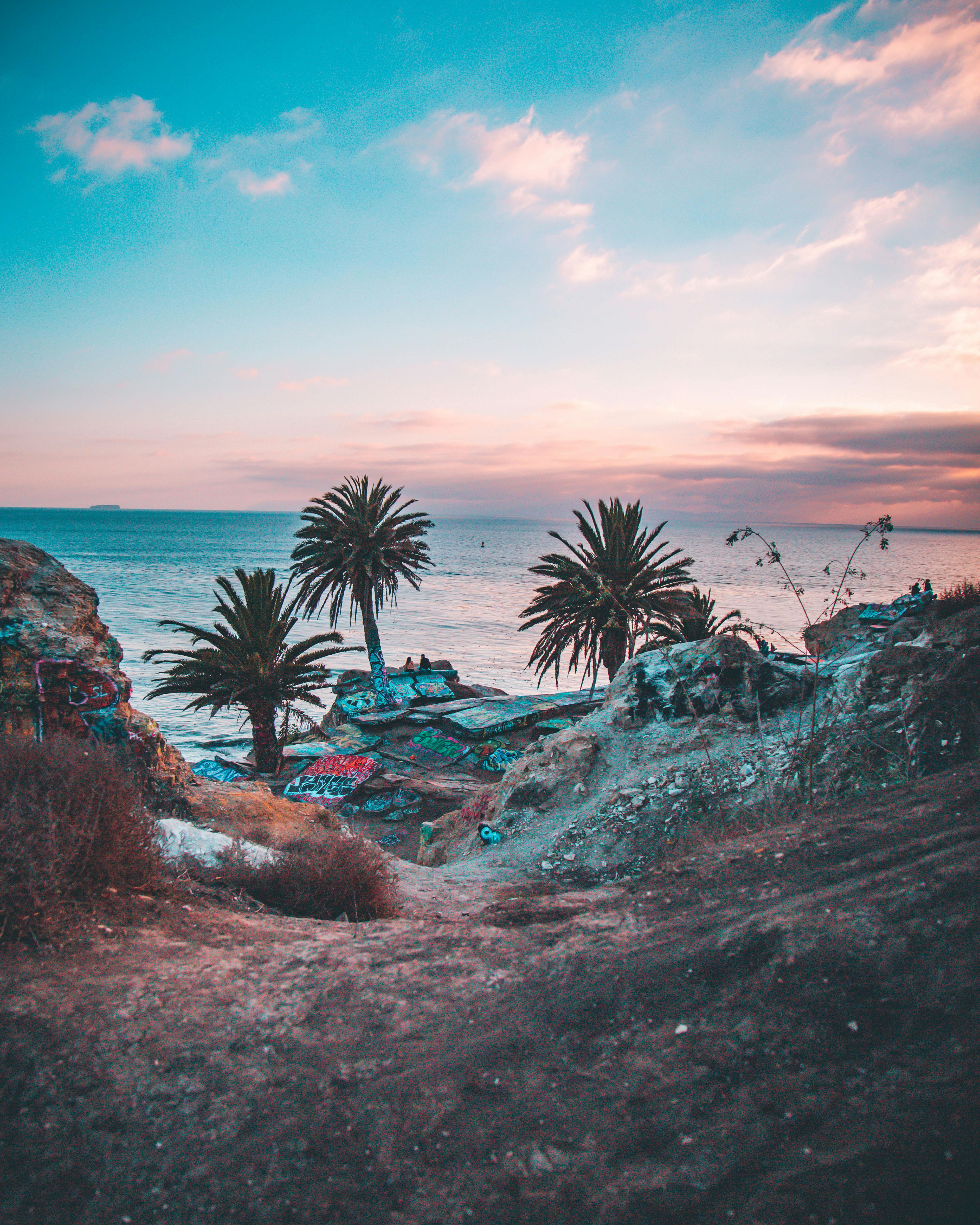 Green Trees Near Seashore Under Blue Sky · Free Stock Photo - 3768 x 4710 jpeg 4360kB