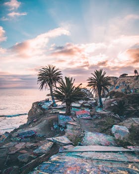 探索棕榈树环绕的热带海岸线，欣赏充满活力的日落天空