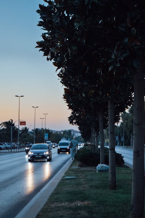 Ingyenes stockfotó maltepe, nő, nők témában