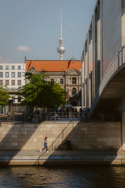 Imagine de stoc gratuită din apă curgătoare, arbore, Berlin