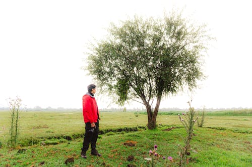Man in Red Jacket Standing near Tree on Grassland