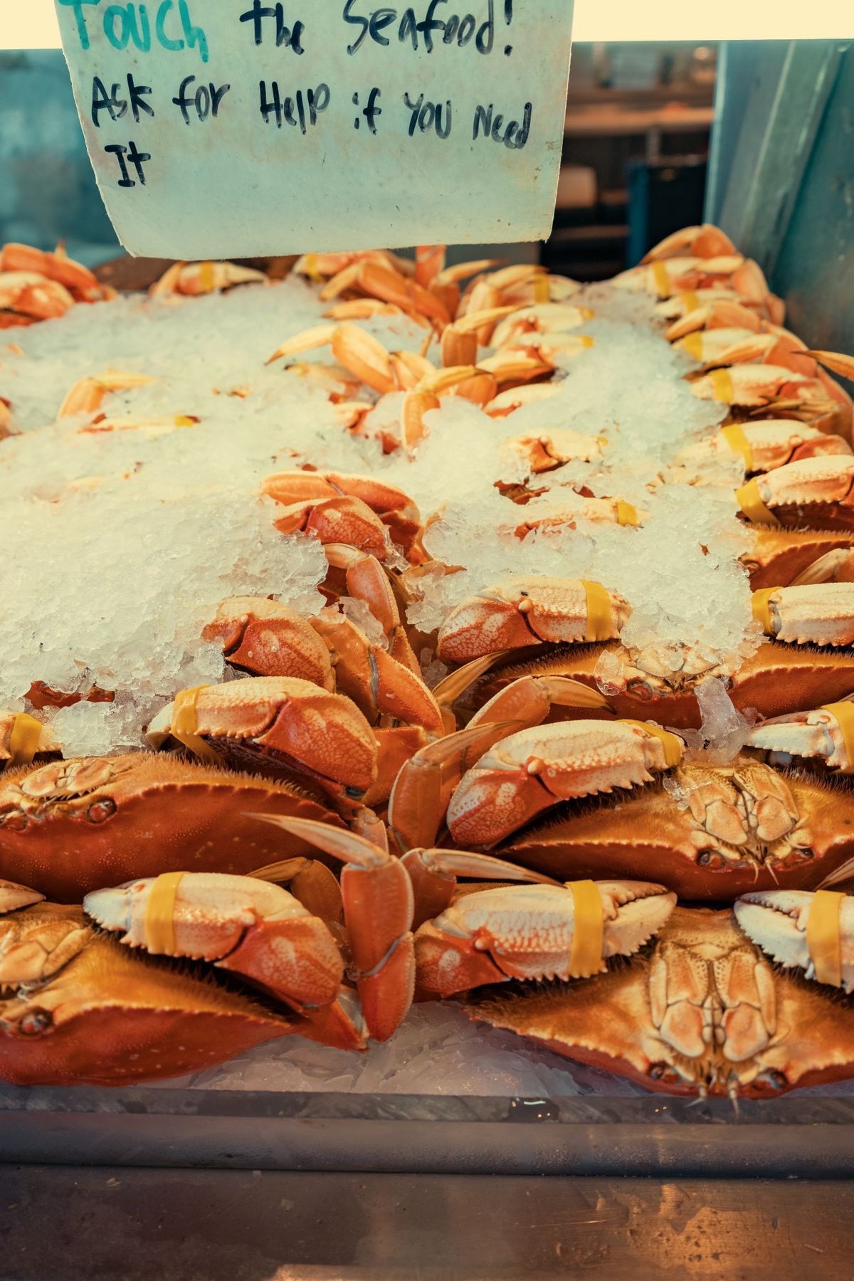 Live king crabs displayed at a Japanese seafood market