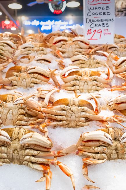 Riveros Thiago Comercio de Pescado — peixes e frutos do mar