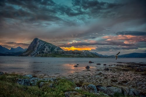 Gratis arkivbilde med arktis, arktisk landskap, arktisk natur